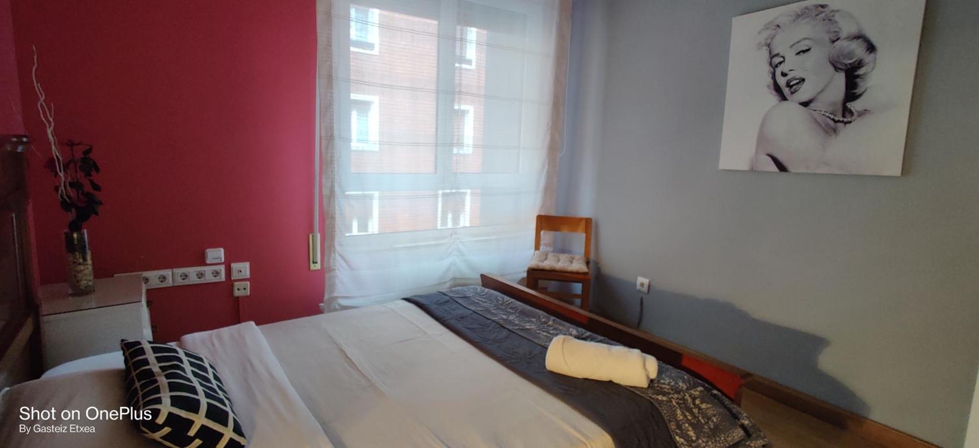 Gasteiz Etxea L Lejlighed Vitoria-Gasteiz Eksteriør billede